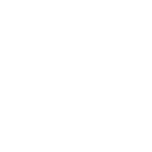Lijst icon